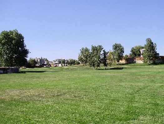 COMMUNITY  PARKS